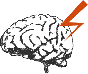 Cerveau.png